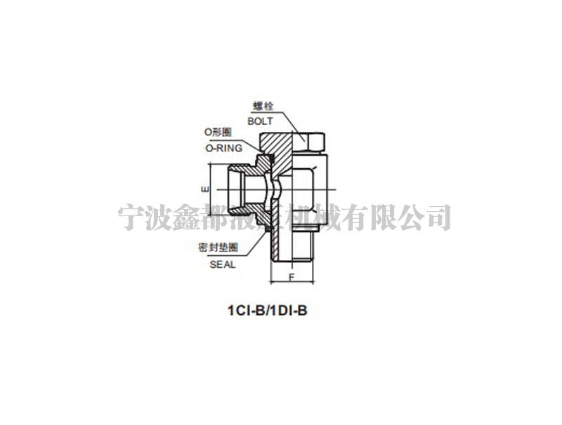 1CI-B/1DI-B BSP BANJO 英管螺纹铰接接头